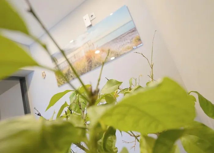 Zu Den 7 Winden Gasthof